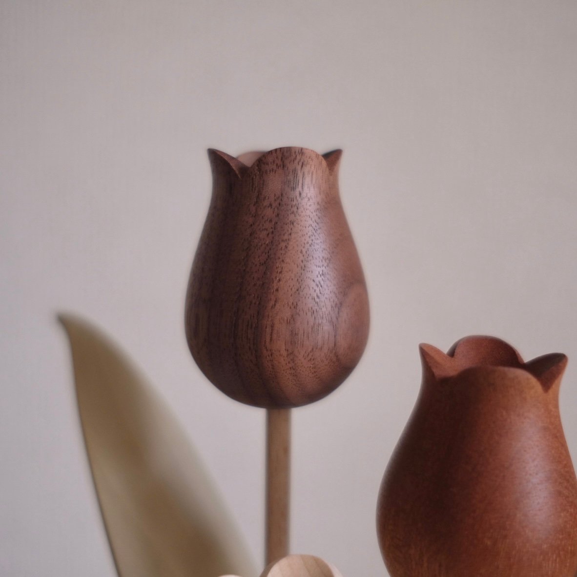 kikka チューリップ 大石浩介 kikka チューリップ | 大石浩介