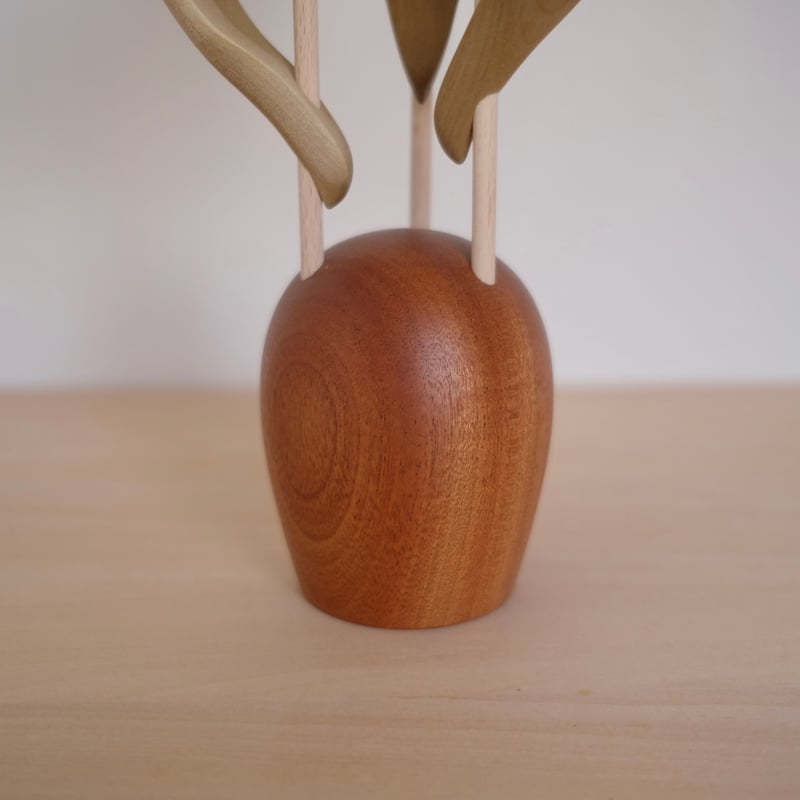 チューリップ 色違い | 大石浩介