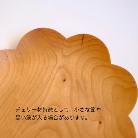 フラットミニスカラッププレート