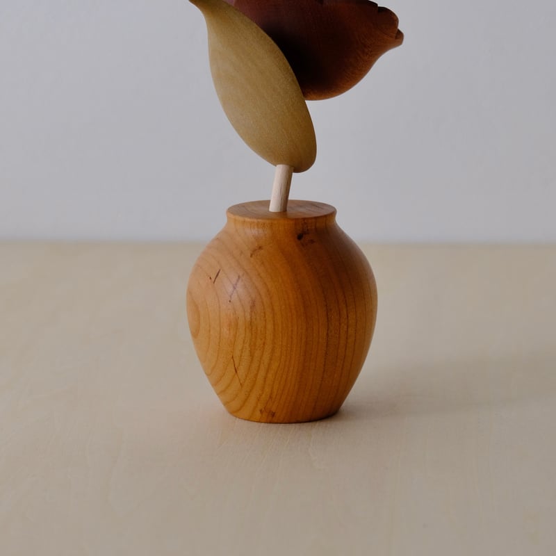 kikka ツバキ | 大石浩介