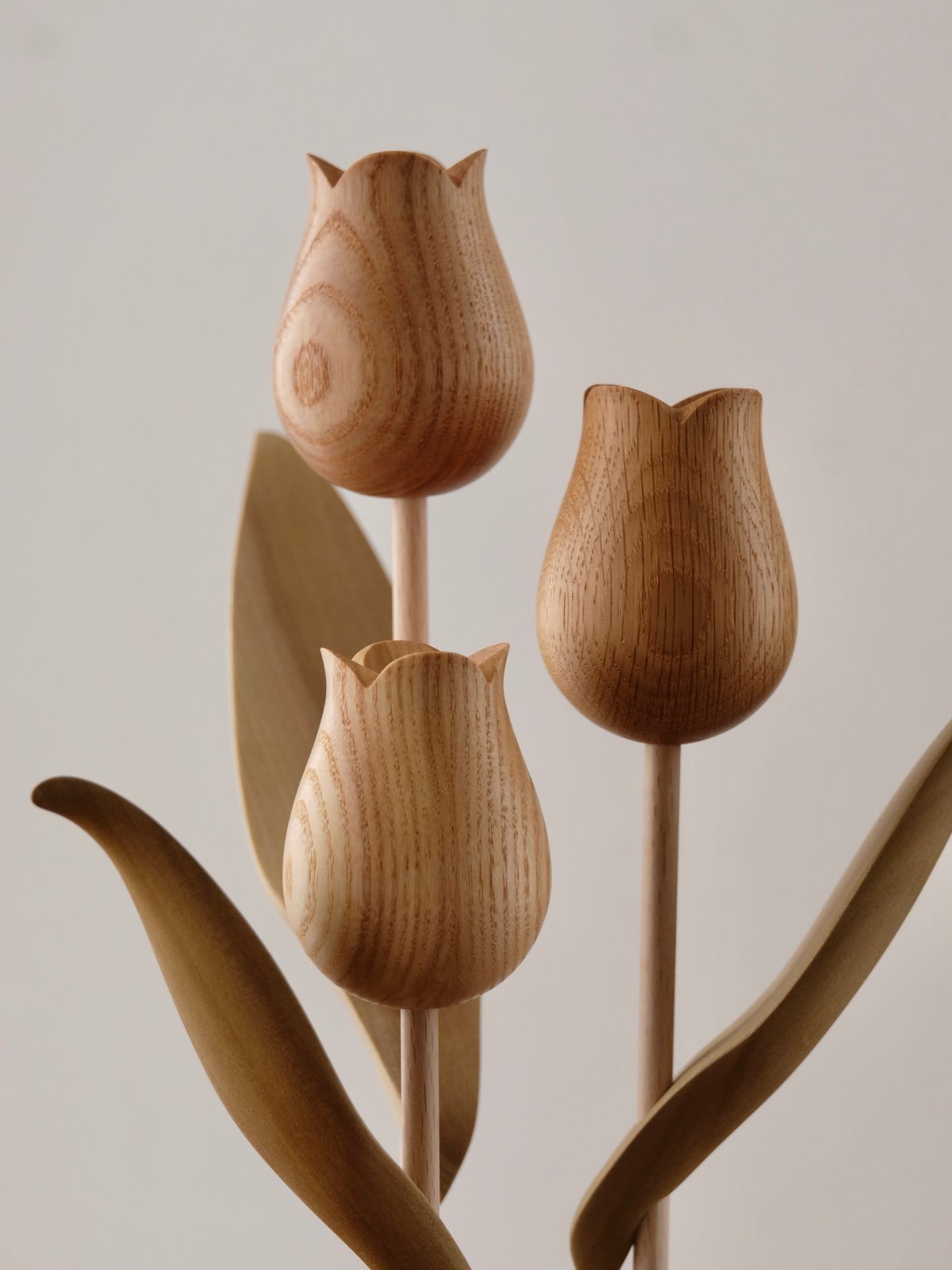 チューリップ 色違い ウォールナット | 大石浩介