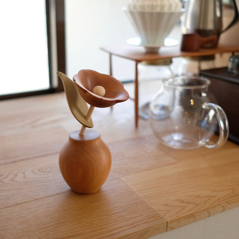 kikka ツバキ | 大石浩介