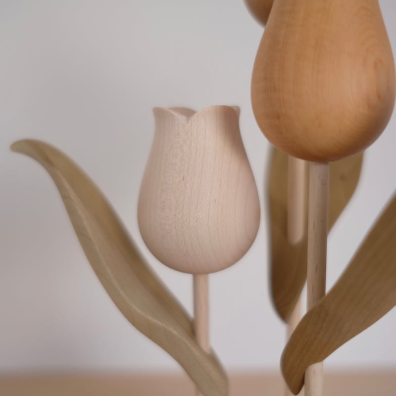 kikka チューリップ 大石浩介 kikka チューリップ | 大石浩介