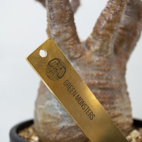 ORIGINAL PLANTS TAG