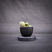 Larryleachia cactiformis / ラリレアキア カクティフォルメ 仏頭玉【発根済】
