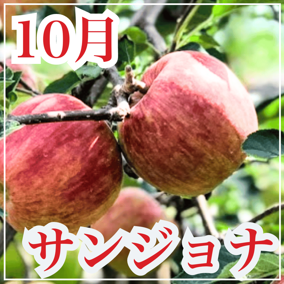 6443abae1c72b4134aad928d