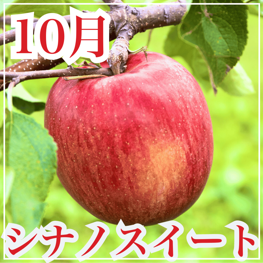 6443abae1c72b4134aad928d
