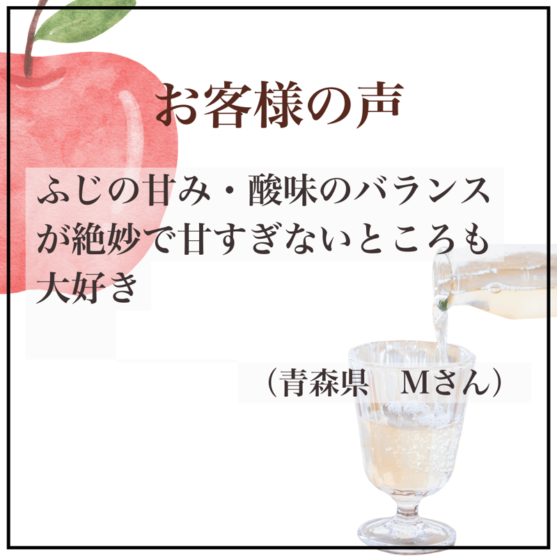 青森県産 無添加 果汁100% 完熟りんごジュース飲み比べ 1000ml×3種