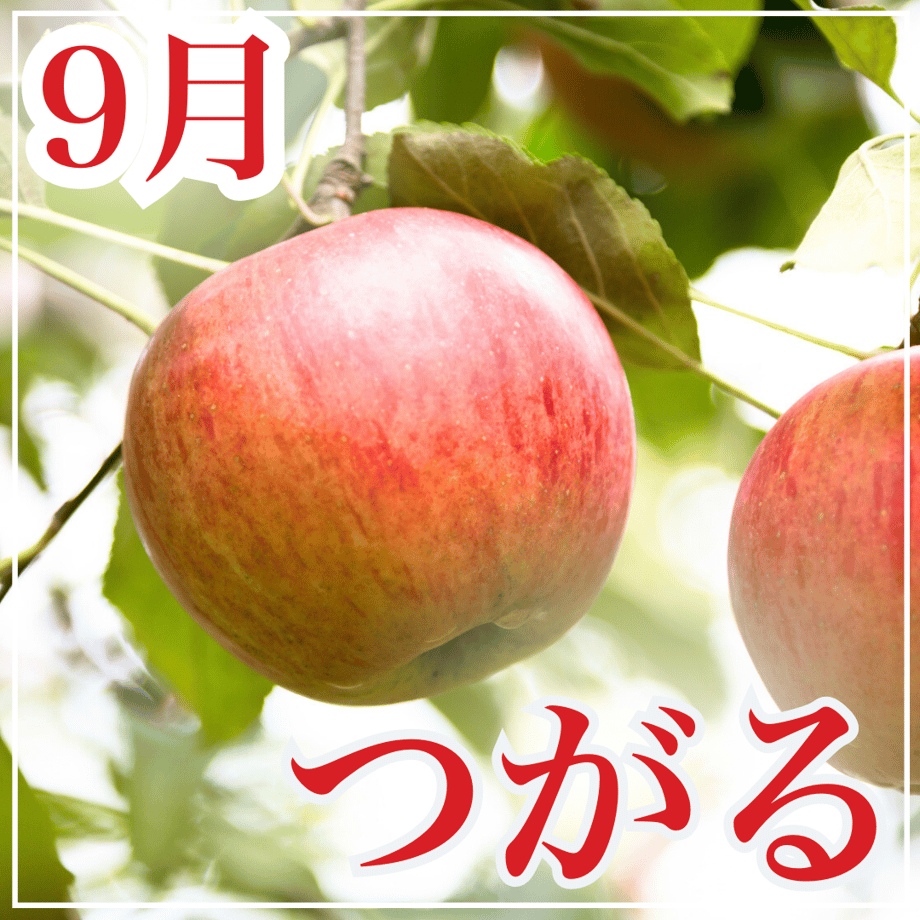 6443abae1c72b4134aad928d