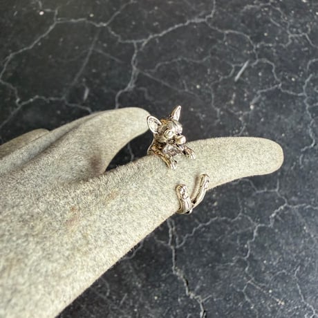 CHIHUAHUA RING [S-4373]