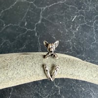 CHIHUAHUA RING [S-4373]