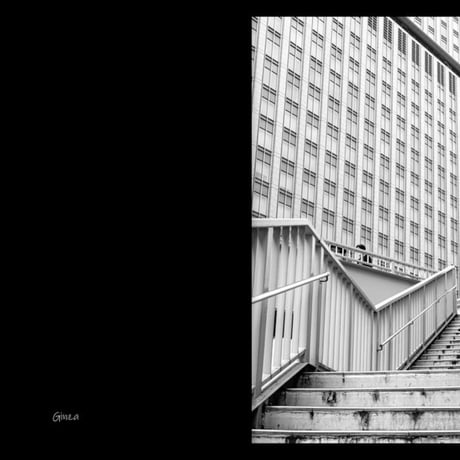 Monthly Zine 2020.11  in Tokyo【A5サイズ 48p 完全版】