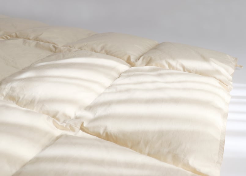 いっくんSafo オーガニック掛け布団 / Organic Duvet オーガニック掛ふとん / Organic Duvet (All Season) | SaFo