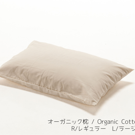オーガニック枕 / Organic Cotton Pillow