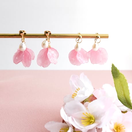 CATEGORY 桜 | Coloring