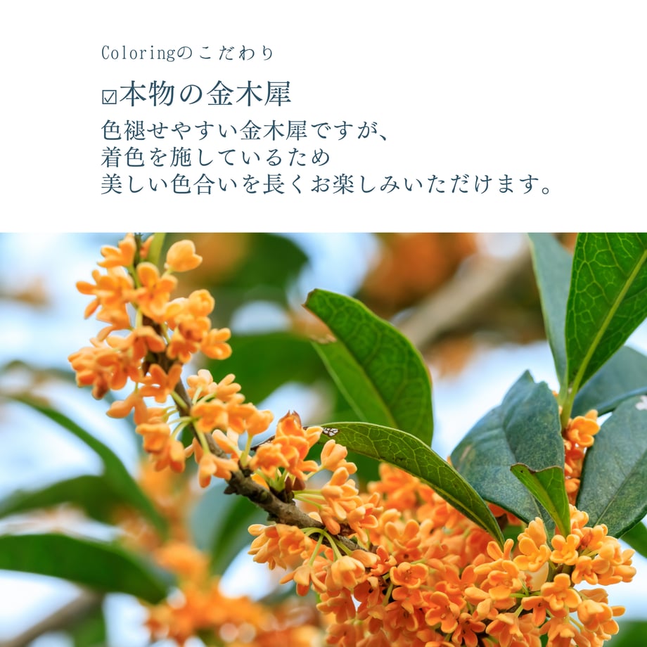 6aa1067d248f8c1f9e99823f
