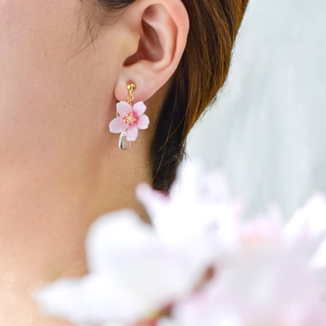 CATEGORY 桜 | Coloring