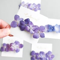 期間限定【選べる】紫陽花クリップ