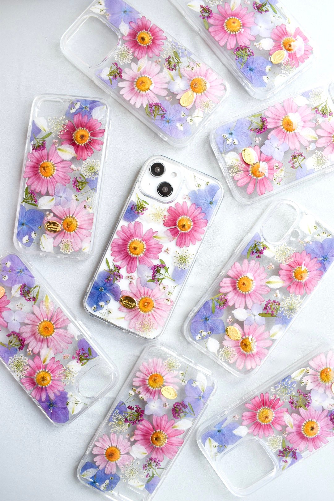 りらっくまページ★押し花ケース 押し花 iPhoneケース マーガレット | Coloring