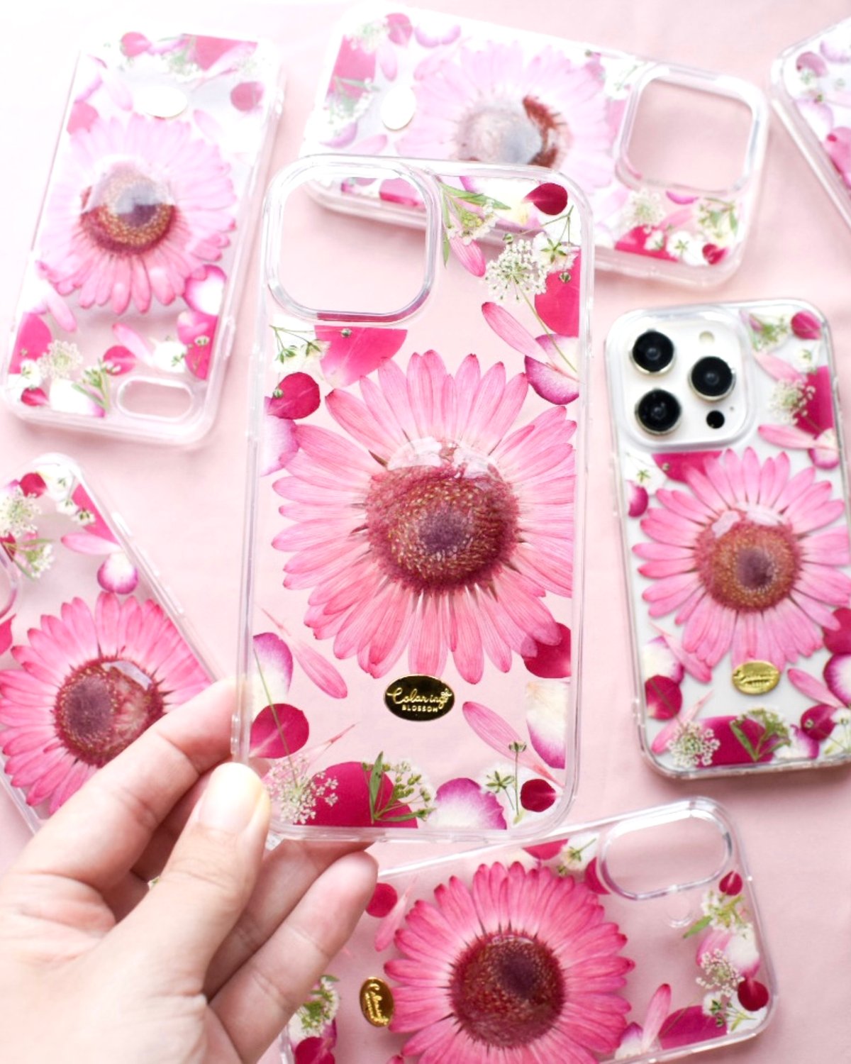 押し花 iPhoneケース ガーベラ | Coloring
