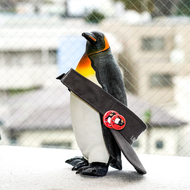 缶バッジ＆マグネット：オオカミの皮をかぶったヒツジ | リサオの世界