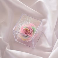 プリザキューブレインボーS(商品番号  H17-554)