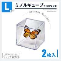 ミノルキューブ Lサイズ用 仕切り板 2枚セット｜展示用 アクセサリー