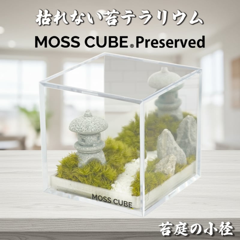 MOSS CUBE Preserved 枯れない苔テラリウム | ミノルショップ｜透明