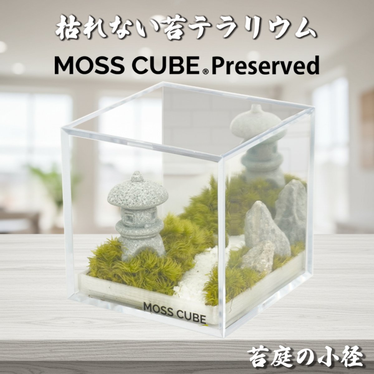 苔テラリウム 幕張新都心 】中型編 大人の苔テラリウムワークショップ FeelTheGarden