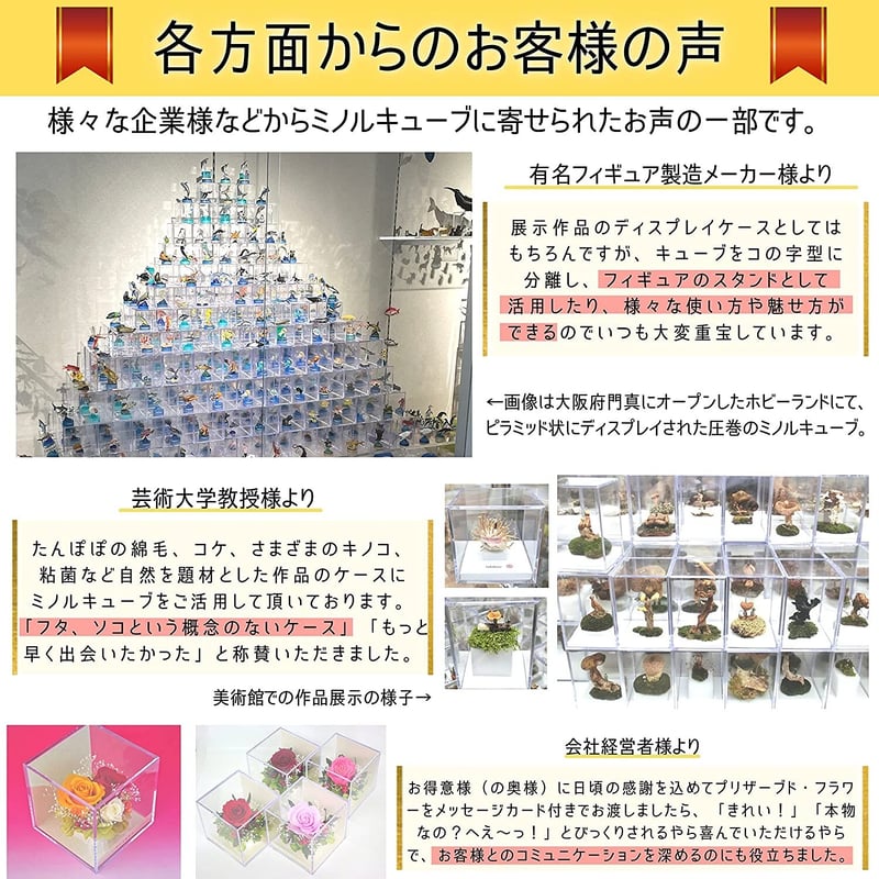 こけ様専用 teru3様専用 コケ各種5パレット他ヒノキゴケ、オオカサゴケ