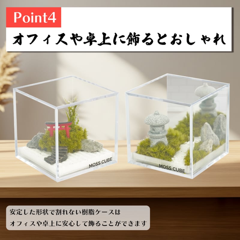 MOSS CUBE Preserved 枯れない苔テラリウム | ミノルショップ｜透明