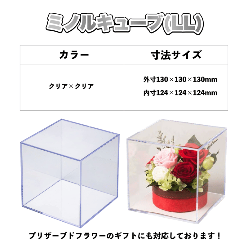 ミノルキューブ スタンダード LLサイズ｜1/12スケール対応 | ミノル