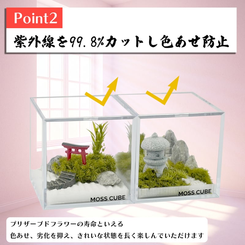 苔テラリウム　No.５２３ MOSS CUBE Preserved 枯れない苔テラリウム | ミノルショップ｜透明