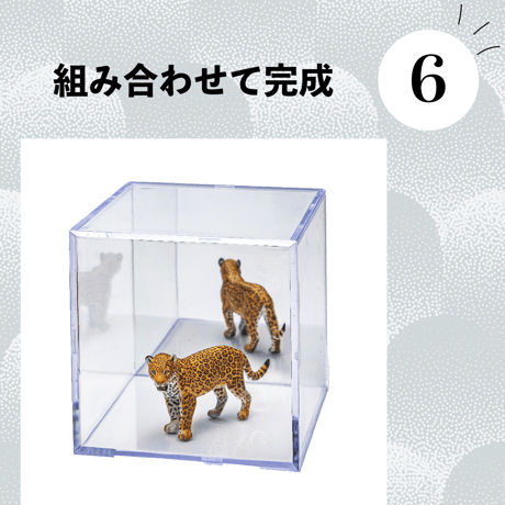 ミノルキューブ専用ミラー Sサイズ　2枚入り