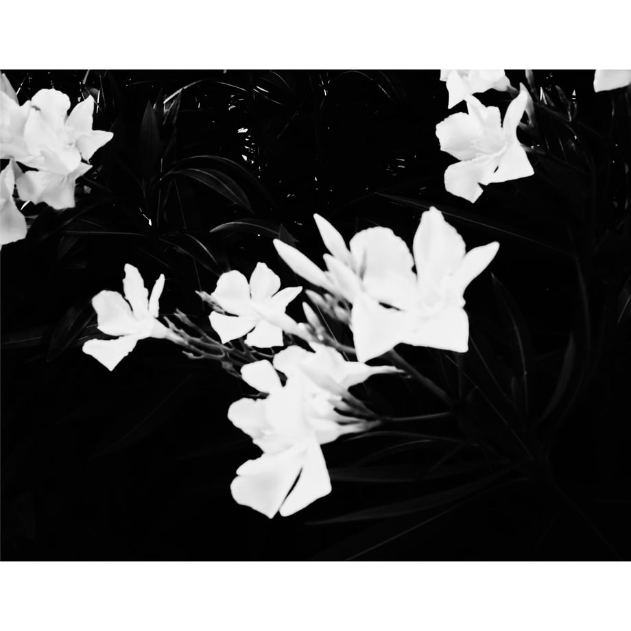 6350ebcac92c5d2dd2255a68