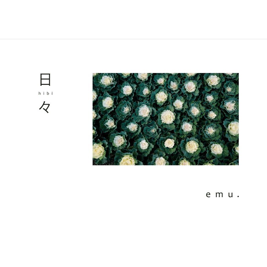 6412c3fc7570b1002d1c6602