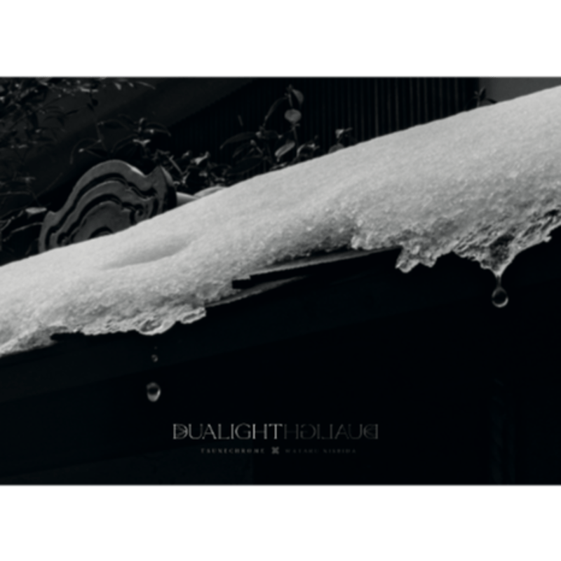 写真集 DUALIGHT | Photure