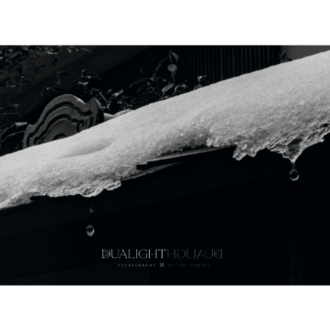 写真集 DUALIGHT | Photure