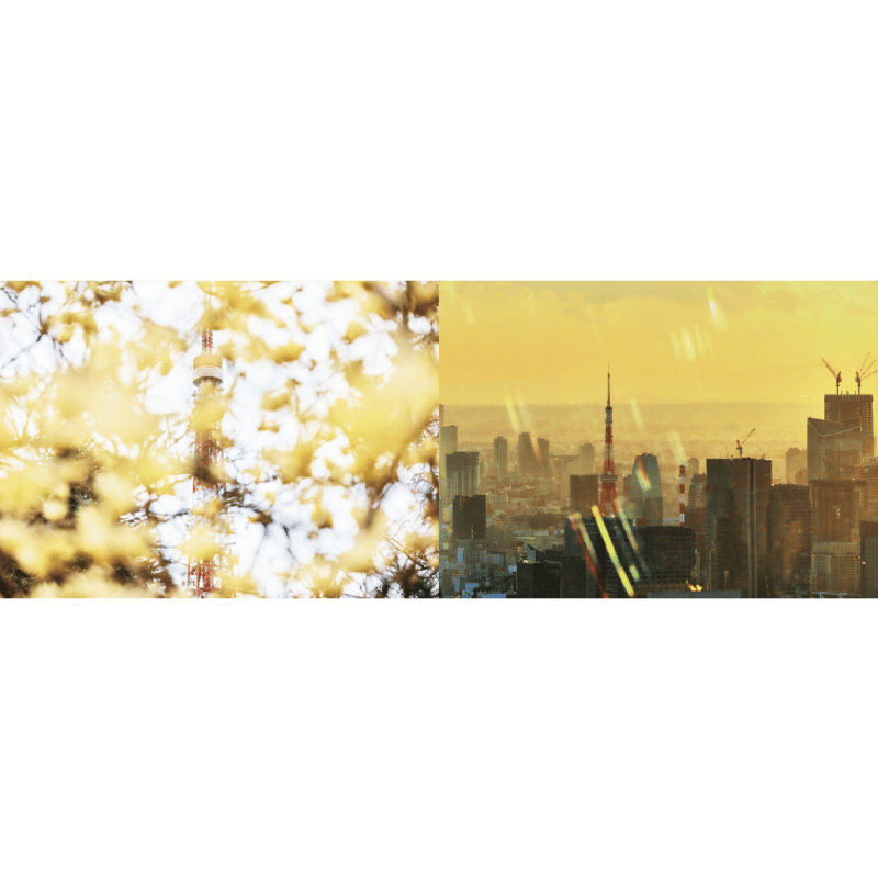 GAZE vol.1から8 と日々 GAZE vol.1から8 と日々 写真集】GAZE vol.3 | Photure