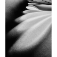 【作品プリント Edition 1/1】abstract