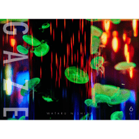 The gallary of world Photography 写真集12巻 The gallery of world photography全12巻 The gallery of world