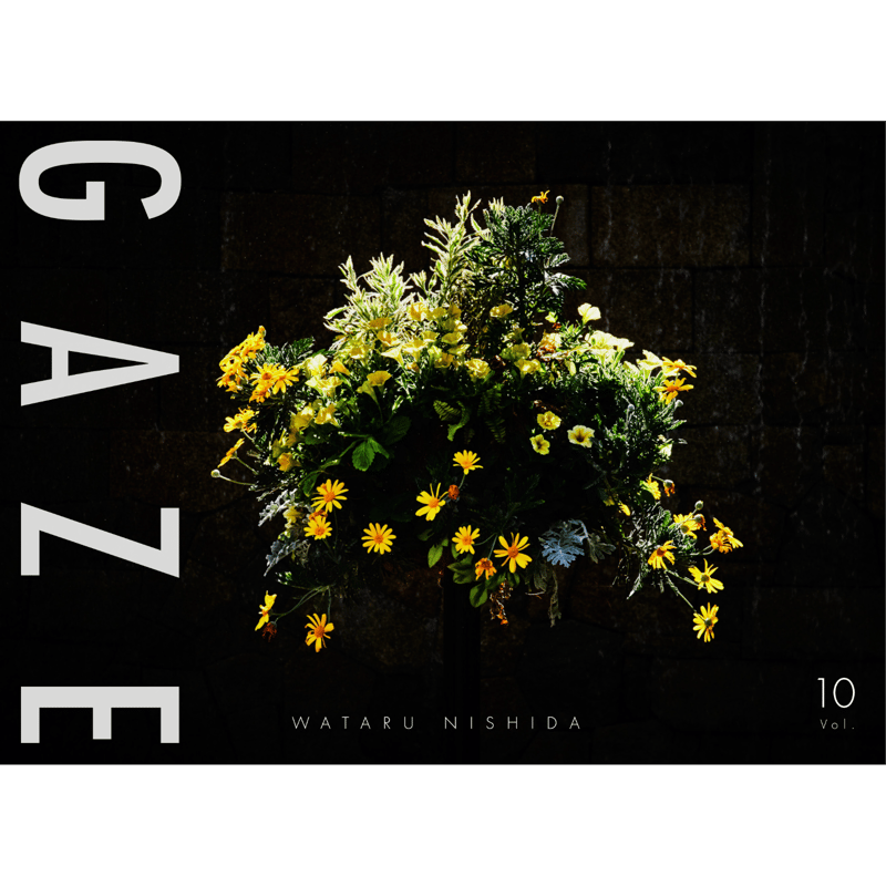 GAZE 8&9 Wataru Nishida 写真集 GAZE vol. 1 | Wataru Nishida | Self Published [SIGNED