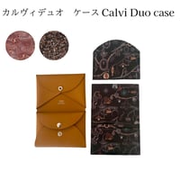 カルヴィデュオ　ケース