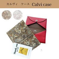 カルヴィケース　パトリックゴードン