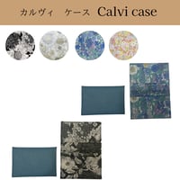 カルヴィケース