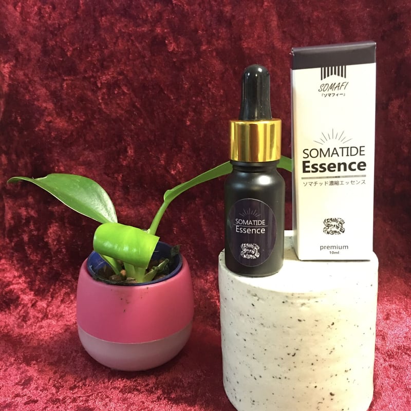 ソマチッド濃縮エッセンス SOMAFI「ソマフフィー」 ボトルミスト30ml 3