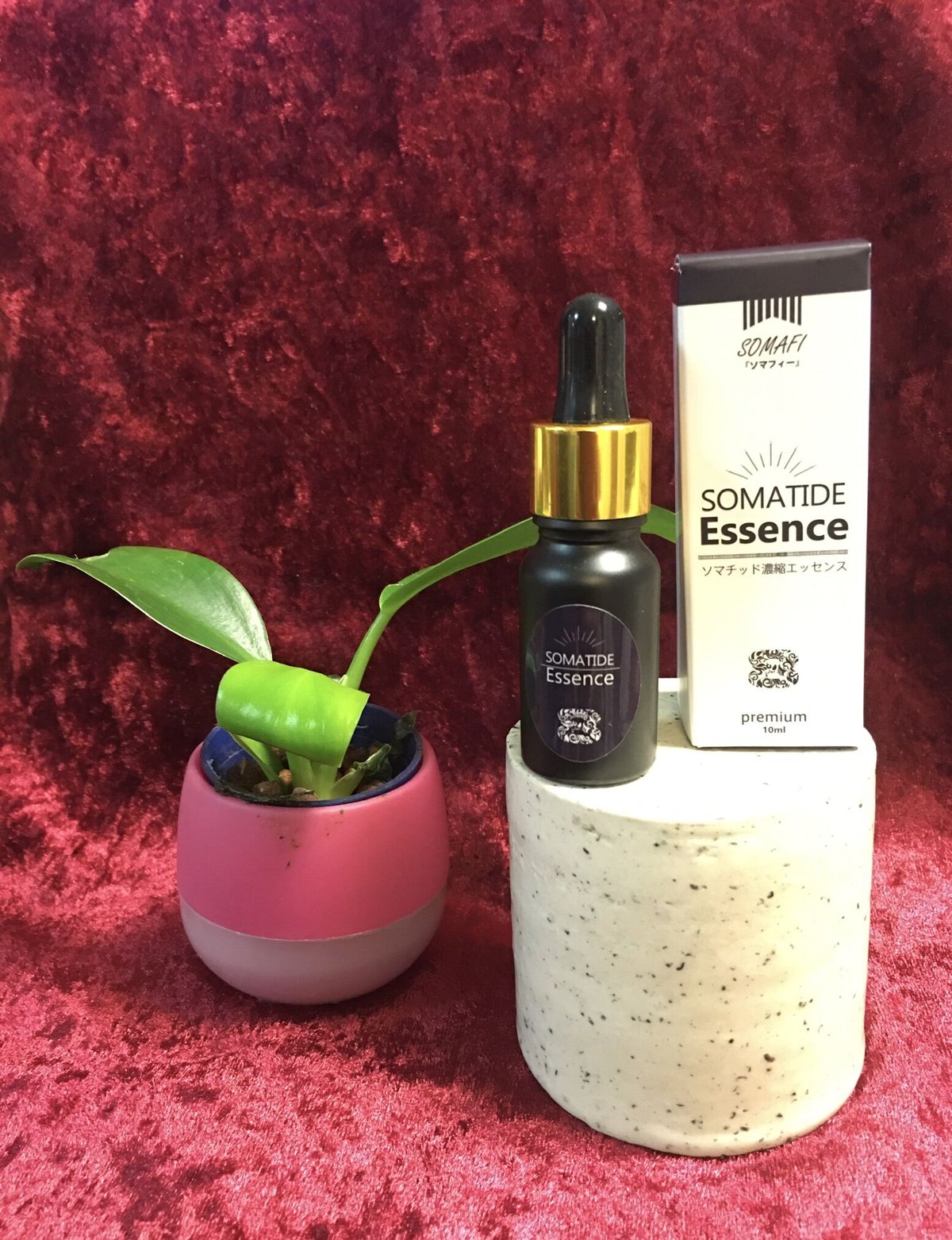 fit=scale-down,w=1200