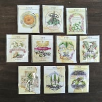 【医療系雑貨生みたて卵屋】修道女の薬瓶ラベル（10種）