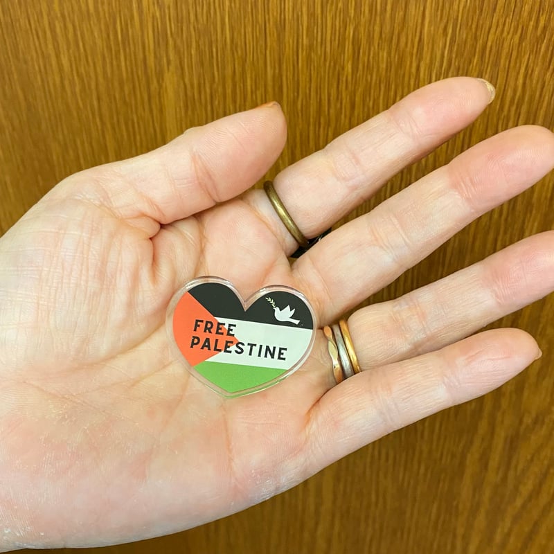 IDF イスラエル空軍バージ ピン Badge PinA