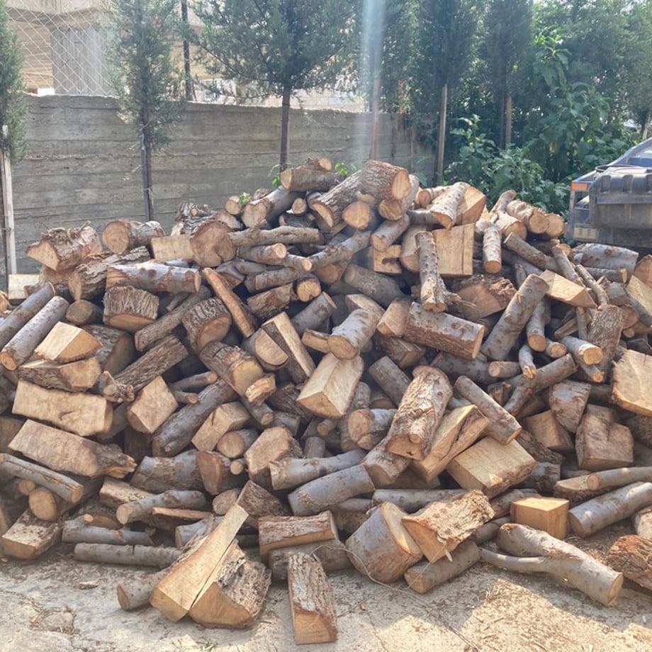 664daf3d3cea4a00393ef946